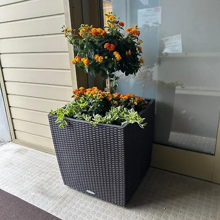 Appartement Stani Leibnitz